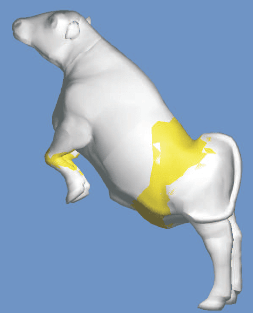 Skeleton-based Rigid Skinning for Character Animation