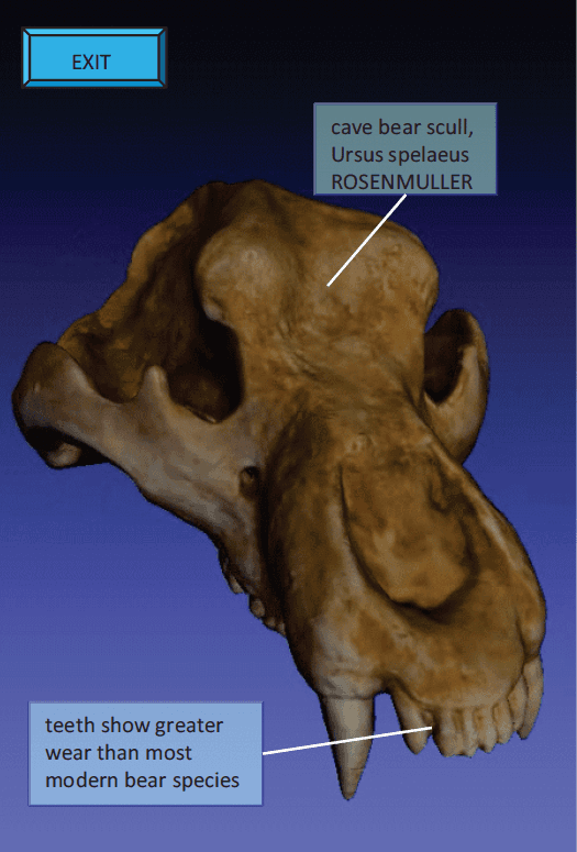 AR-TagBrowse: Annotating and Browsing 3D models on Mobile Devices